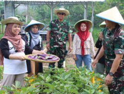 Lanud Husein Sastranegara Panen Sayuran Bersama Warga Bojong Koneng Untuk Dukung Ketahanan Pangan